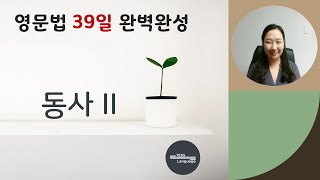 39일에 완벽히 끝내는 필수 영문법 | 동사 2강 | 목적어 필요한 동사? 혼자 설 수 있는 동사?