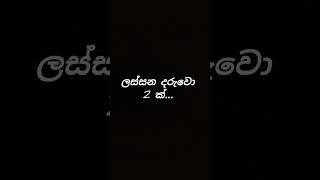 තරුණ ඔබ නැරඹිය යුතුම වීඩියෝවකි....😎👊😎