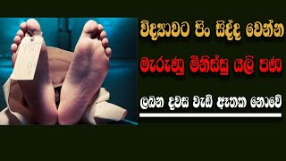 after death|විද්‍යාවට පිං සිද්ද වෙන්න මැරුණු මිනිස්සු යලි පණ ලබන දවස වැඩි ඈතක නොවේ