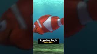 Did You Know This About Finding Nemo Shorts