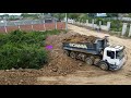 New start,Excellent work and Strong KOMATSU D58E Bulldozer Pushing ground to clearing forest