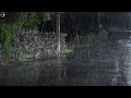 Stop insomnia with heavy rain on a rainy night and fall asleep quickly in 3 minutes, rain sound ASMR