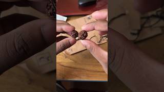 Isha Foundation Rudraksha Diksha Unboxing #shorts #unboxing