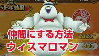 攻略 新要素あり！お休みタイム お宝クエスト ウィスマロマン 共闘イベント【妖怪三国志 国盗りウォーズ】