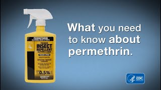 What You Need to Know about Permethrin