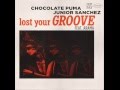 Chocolate Puma & Junior Sanchez Feat. Arama - Lost Your Groove (Original Mix)[Dim Mak Records]