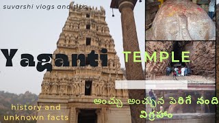 Yaganti temple// అంచ్చు అంచున పెరుగుతున్న బసవన్న నంది //యాగంటి గుహలు వాటి రహస్యలు #yagantitemple