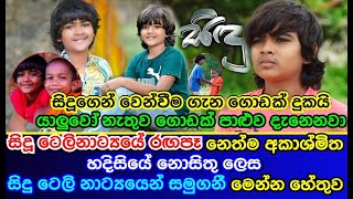 සිදූ ටෙලිනාට්‍යයේ රඟපෑ නෙත්ම අකාශ්මිත හදිසියේ නොසිතු ලෙස සිදු ටෙලි නාට්‍යයෙන් සමුගනී Sidu Teledrama