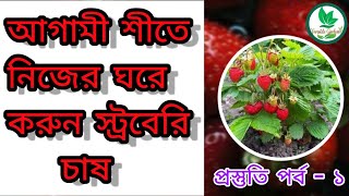 আগামী শীতে টবভর্তি  স্ট্রবেরি ফলাতে চান? সেরে ফেলুন প্রস্তুতি পর্ব-১ 🍓🍓 strawberry plant care