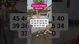 Find the Hidden Number #brainteaser #search #find