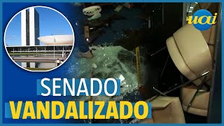 Terrorismo em Brasília: bolsonaristas vandalizam Senado