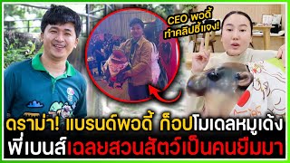 ดราม่าชาวเน็ตบอกแบรนด์พอดี้ ก็อปโมเดลหมูเด้ง ,พี่เบนส์เฉลยที่เห็นทั้งหมดของพอดี้ ยืมมาอุ้มออกงาน