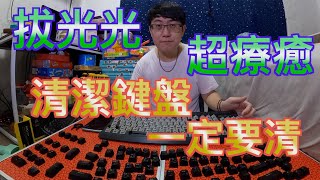 機械鍵盤記得清潔 不清潔裡面一堆神秘生物在等你【MAKOTO】