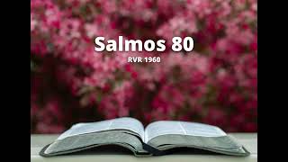 Salmos 80 - Reina Valera 1960 (Biblia en audio)