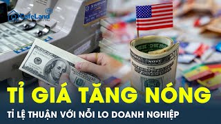 Nỗi lo cuối năm của nhiều doanh nghiệp khi đồng đô la Mỹ tăng giá | CafeLand