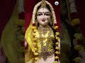 बसंत पंचमी स्पेशल song raseshwarideviji basantpanchami