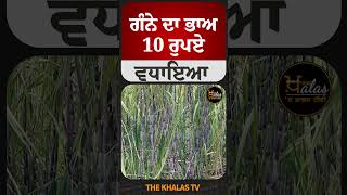 ਗੰਨੇ ਦਾ ਭਾਅ 10 ਰੁਪਏ ਵਧਾਇਆ #BhagwantMann #SugarcaneFarming #TheKhalasTv