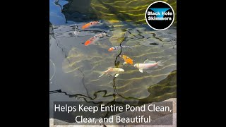 Pond Surface Skimmer | Pond Aerator | Koi Pond