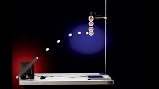 The Monkey and Hunter Demo | Arbor Scientific