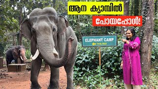 ആനകൾക്കായിട്ട് ഒരു ക്യാമ്പ്! Abhayaranyam Kaprikkadu Ecotourism