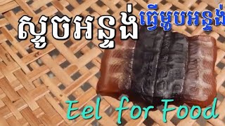 ស្ទូចអន្ទង់ Young Girl Eel Fishing | Eel Ginger Fried