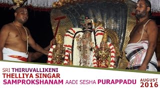 Sri Theliya Singar Samprokshanam Aadi Sesha Purappadu - Thiruvallikeni Parthasarathy Perumal