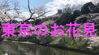 2019年東京『千鳥ヶ淵』　桜満開　　cherry blossom in Tokyo