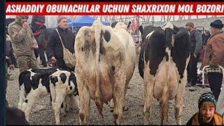 Bugun Daxshat Boldi Shaxrixon Xoldanbek CHOJA Mol Bozori 😱 #bozorinibersin