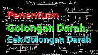 Penentuan Golongan Darah Sistem ABO dan Cek Golongan Darah