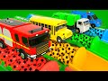 Rain Rain Go Away + Wheels on the Bus Song | Color Balls in Tubes | Baby Nursery Rhymes & Kids Songs