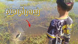 ស្ទូចត្រីក្រាញ់ 🐟