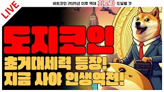 [도지코인] 초거대세력 등장! 지금 사야 인생역전!