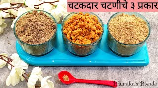 जेवणाची लज्जत वाढविणाऱ्या खमंग ,चटकदार ३ प्रकारच्या  चटण्या | Easy Dry Chutneys | Bhumika's Blends