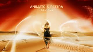 Animato & Pettra - Feelings