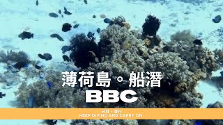 菲律賓。薄荷島 #31 BBC 薄荷島船潛Day 1 #船潛 #潛水 #邦勞【日月。潛行】