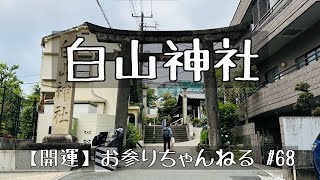 【第68回⛩️白山神社】文京区のパワースポット🌳 菊理姫命や伊弉諾命・伊弉冊命を筆頭に錚々たる神々がお祀りされています🪨✨ 縁結び 恋愛成就 子孫繁栄 夫婦円満 金運上昇 子授け 勝運上昇✨