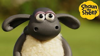 Shaun the Sheep 🐑 TIMMY TIME RIGHT NOW - Cartoons for Kids 🐑 Full Episodes Compilation [1 hour]