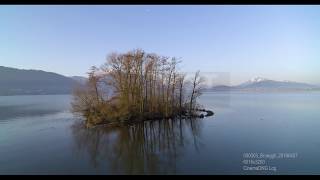 Aerial drone stock video bird island 6k 000003_Brueggli_20180407