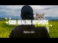 Soul Healing Nasheed Collection🎵🦋 | Popular Ever Peaceful Nasheed Collection🤍🎧 | Islamic Edits