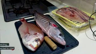 【料理偏】千葉県にある大原漁港で買ってきた魚を食べるよ！　AppleDays　クッキング