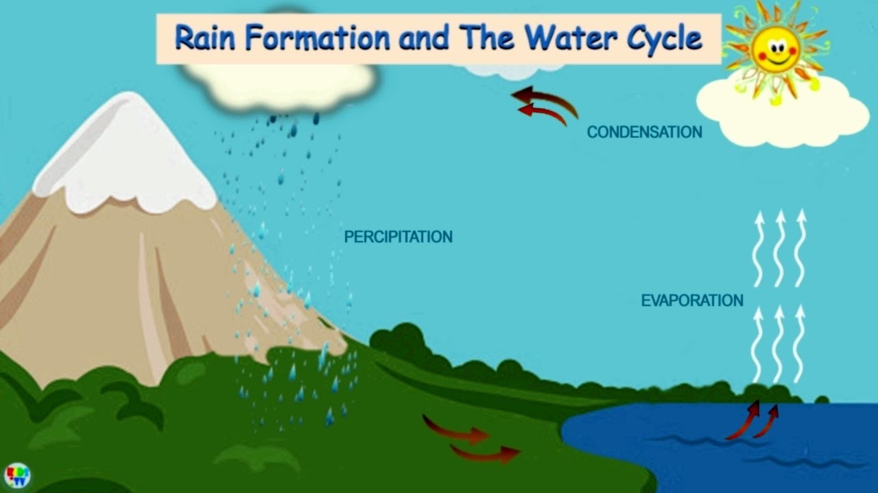 Water Cycle | How Rain Is Formed - Rain Formation And The Water Cycle ...