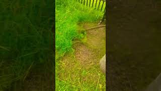 Grass Cutting Machine  #viral #swapanadhikary #shorts