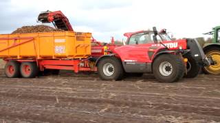 Aardappels rooien met John Deere en manitou - Meeden 2016