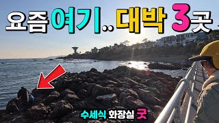 해외보다 멋진 차박 낚시 천국, 대박나는 항구 2곳과 60년 만에 돌아온 천연기념물, 해안 산책길, 캠핑카여행 차박노지, 경주 양남 주상절리, 파도소리길, 하서항, 읍천항,