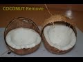 INDIAN Easiest Open COCONUT Remove for Shell in Seconds & Street FOOD