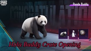 New Hola Buddy Lucky Spin Crate Opening | Panda Buddy | Thunderclap Fury Buddy Set | 3000 UC