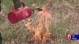 Prescribed burn conducted at East Haddam state park to combat invasive species