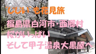 じじいも花見旅（福島県白河西郷　桜がいっぱい　そして甲子温泉大黒屋へ）