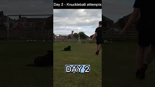 Day 2 Knuckleball Freekick Attempt! #shorts #knuckleball #cr7 #ronaldo #messi #freekick #football