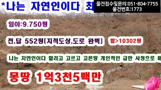 [급매] 너무 급해서 7년전 매도금액보다 5천만원 싸게 매도  사과나무과수원 1020평